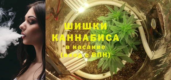 твердый Алексин