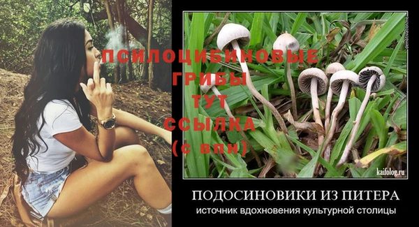 спиды Алексеевка